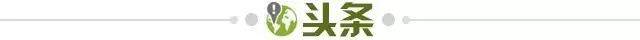 开云-【早报】路遇戴帽小将阿玛德，拼尽全力仍无法战胜！